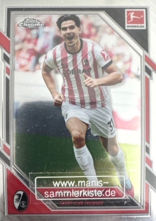 Sammelkarte Nr. 033 - Igor Matanovic