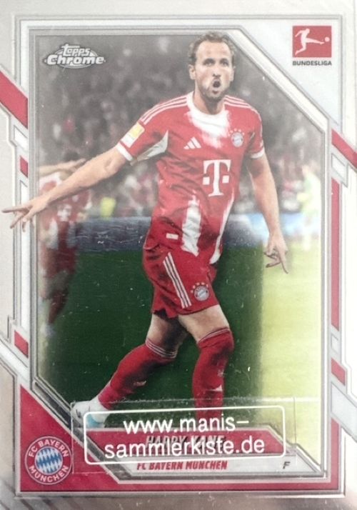 Sammelkarte Nr. 084 - Harry Kane