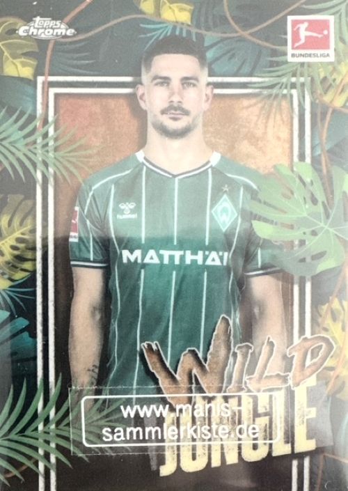 Sammelkarte Nr. WJ-13 - Wild Jungle - Romano Schmid