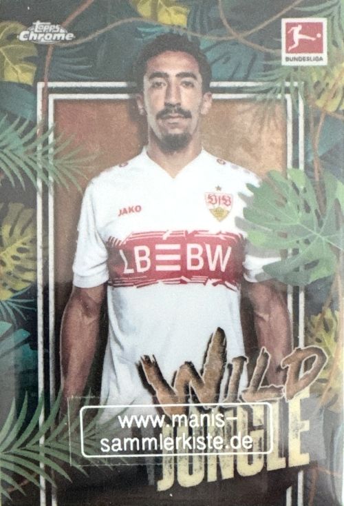 Sammelkarte Nr. WJ-16 - Wild Jungle - Tiago Tomás