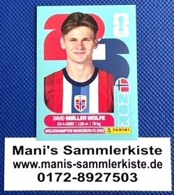 Sammelbild Nr. NOR 7 - David Moller Wolfe