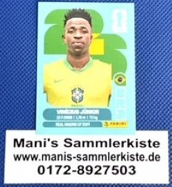 Sammelbild Nr. BRA 14 - Vinicius Junior