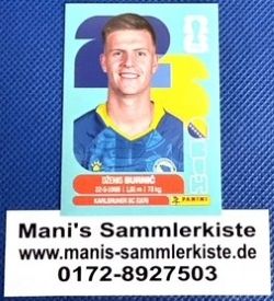 Sammelbild Nr. BIH 14 - Dzenis Burnic