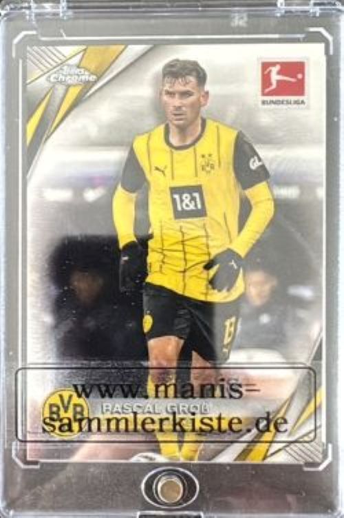 Sammelkarte Nr. 25 - Pascal Groß