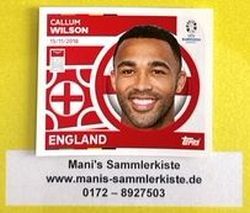 Sammelbild Nr. ENG 21 - Callum Wilson