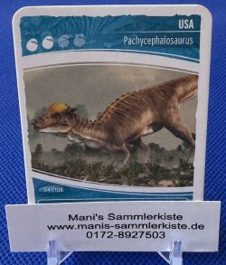 Sammelkarte - Nr. 47 - USA - Pachycephalosaurus