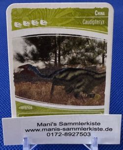 Sammelkarte - Nr. 72 - China - Caudipteryx