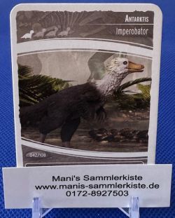 Sammelkarte - Nr. 42 - Antarktis - Imperobator