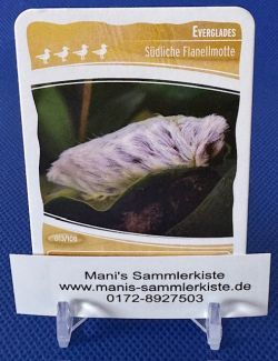 Sammelkarte Nr. 13 - Everglades - Südliche Flanellmotte