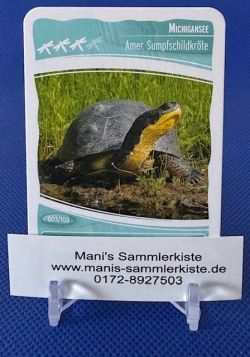 Sammelkarte Nr. 3 - Michigansee - Amerikanische Sumpfschildkröte
