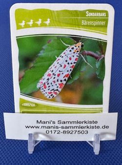 Sammelkarte Nr. 85 - Sundarbans - Bärenspinner