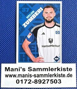 Sammelbild - Nr. 29