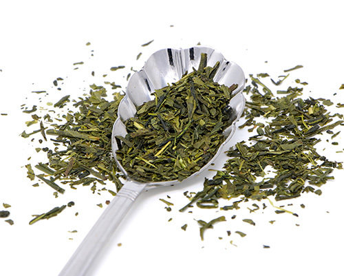 SENCHA