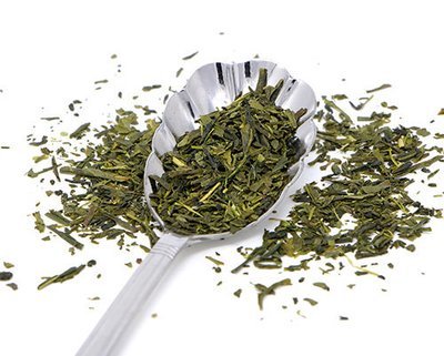 SENCHA