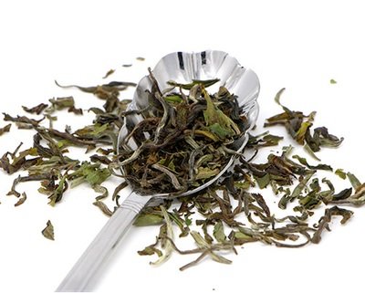 WHITE TEA