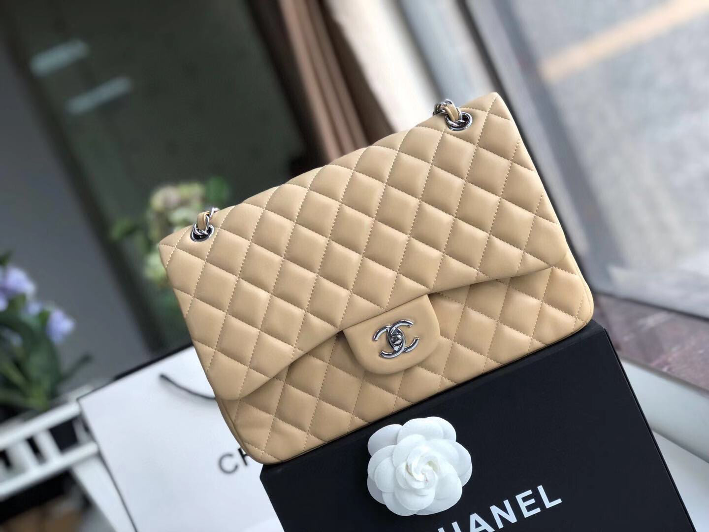 chanel classic nude