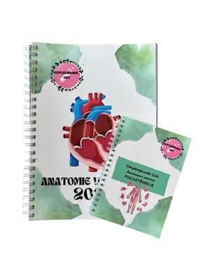 The Anatomy Bundle (Pocket Booklet + Workbook)