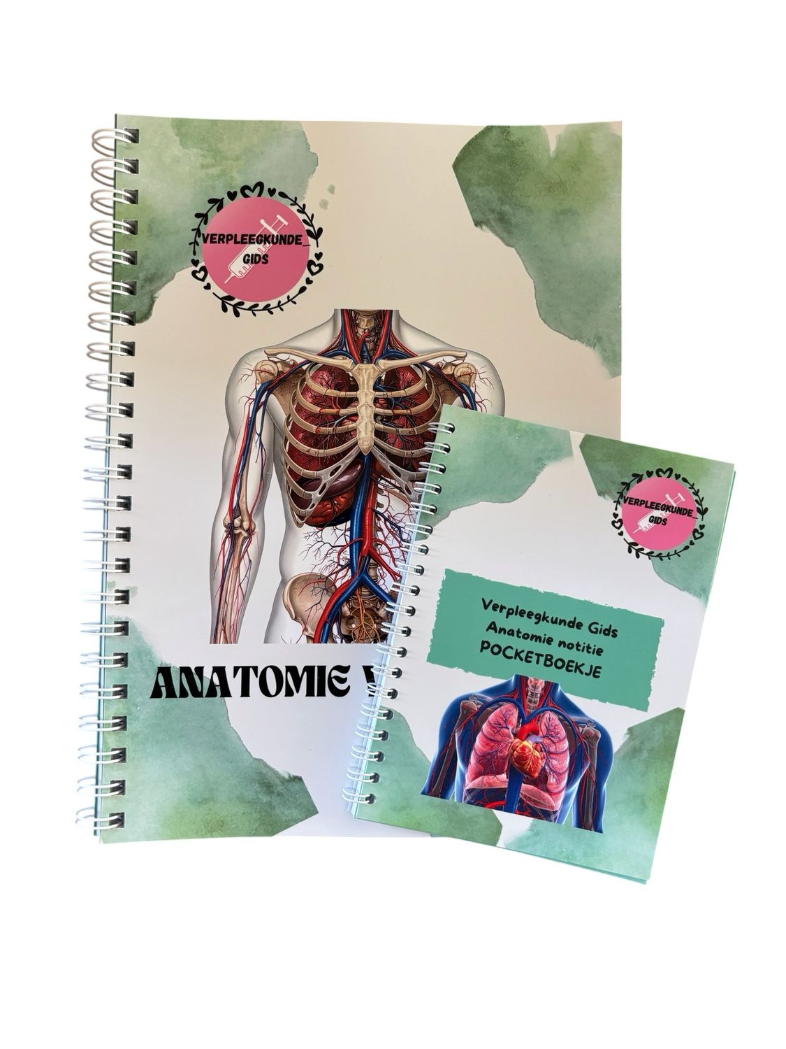 The Anatomy Bundle (Pocket Booklet + Workbook)
