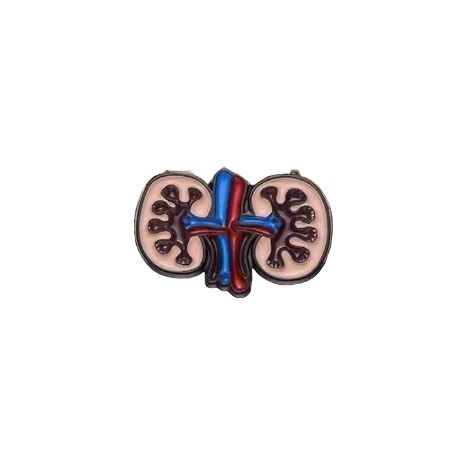 Kidney USB 128MB