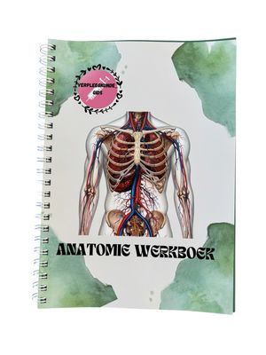 Le Cahier d’exercices d’anatomie (effaçable et réutilisable)