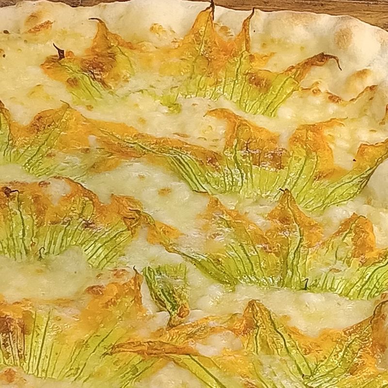 Fiori di zucca