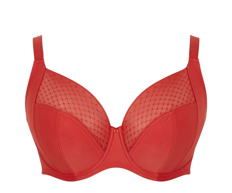 Bliss / Salsa Red