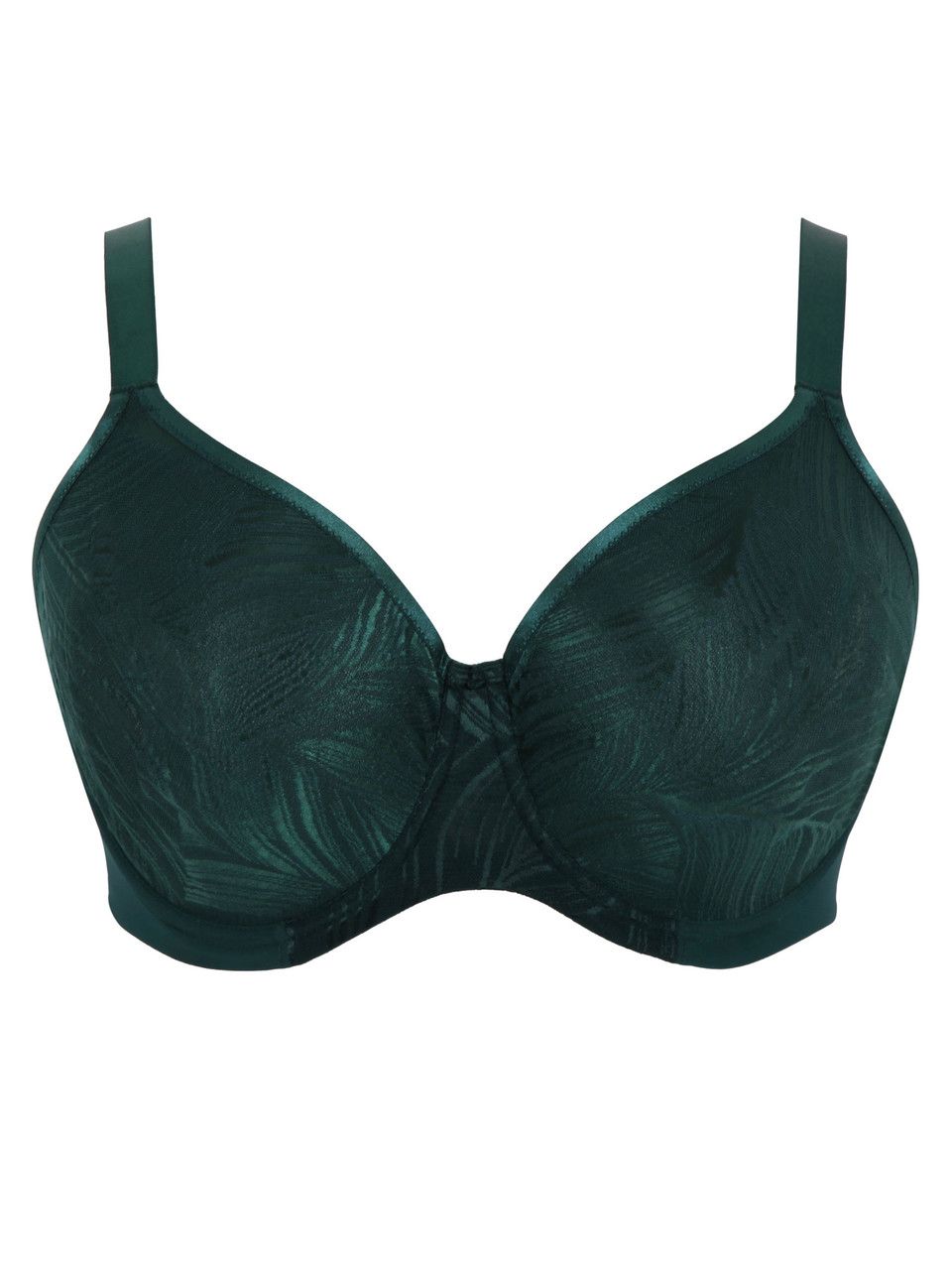 Illuminate / Dark Green