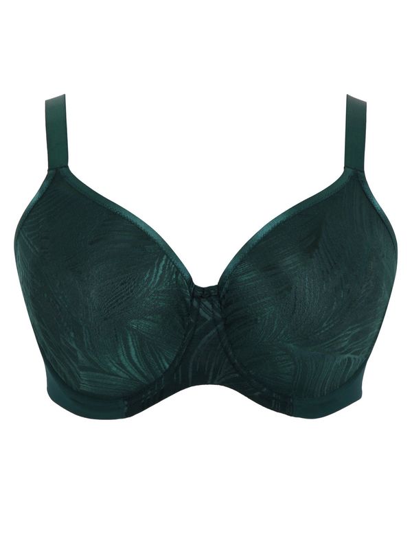 Illuminate / Dark Green