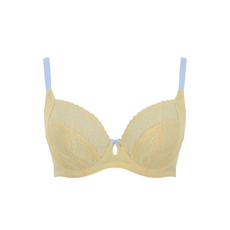 Alexis / Lemon