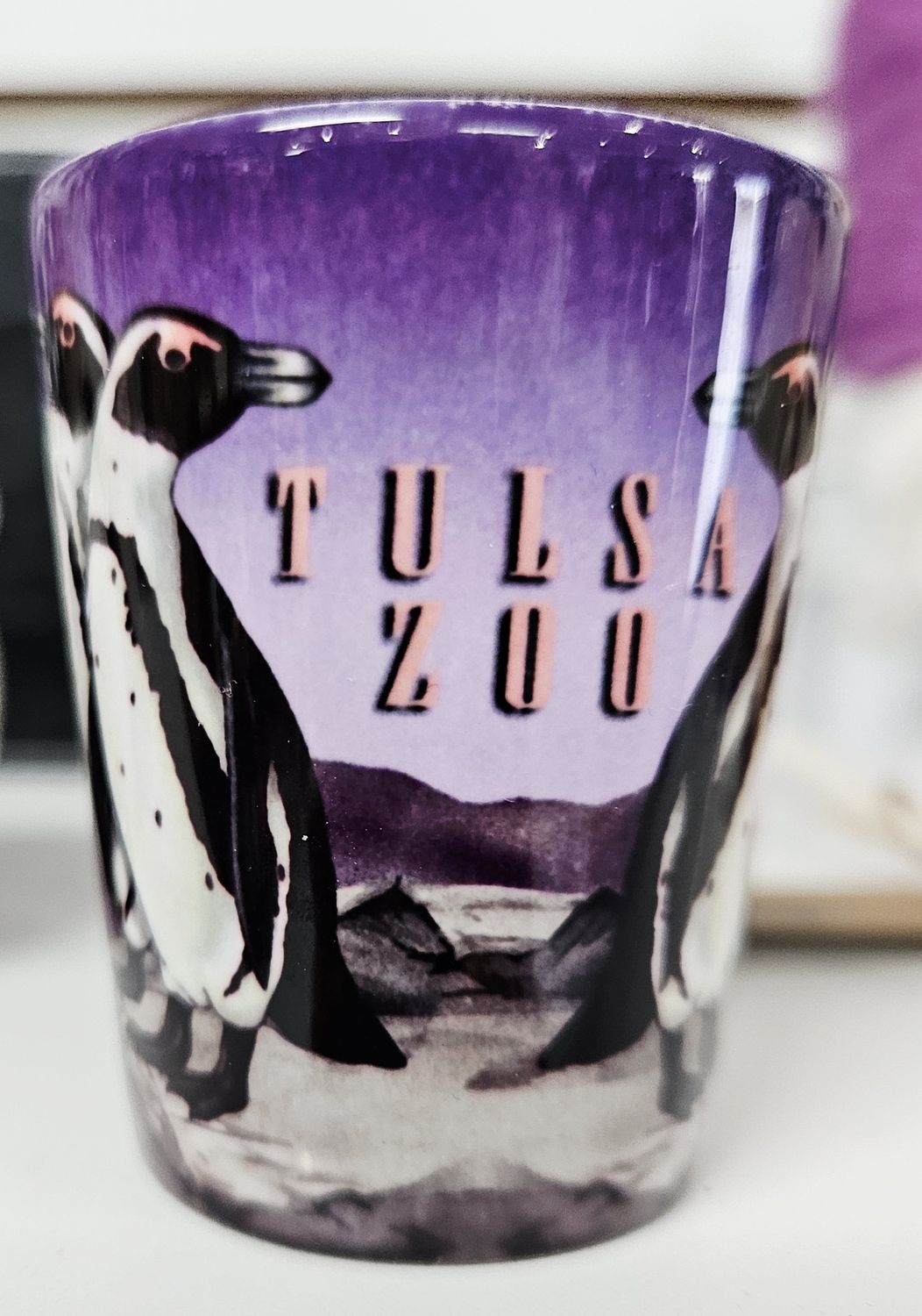 Penguin Tulsa Zoo Candle