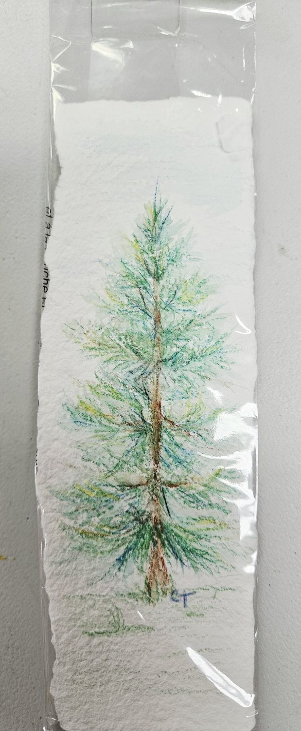Tree sketch bookmark