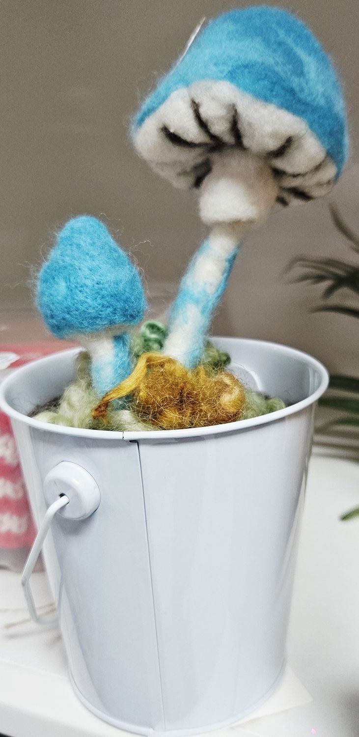 blue mushroom bucket