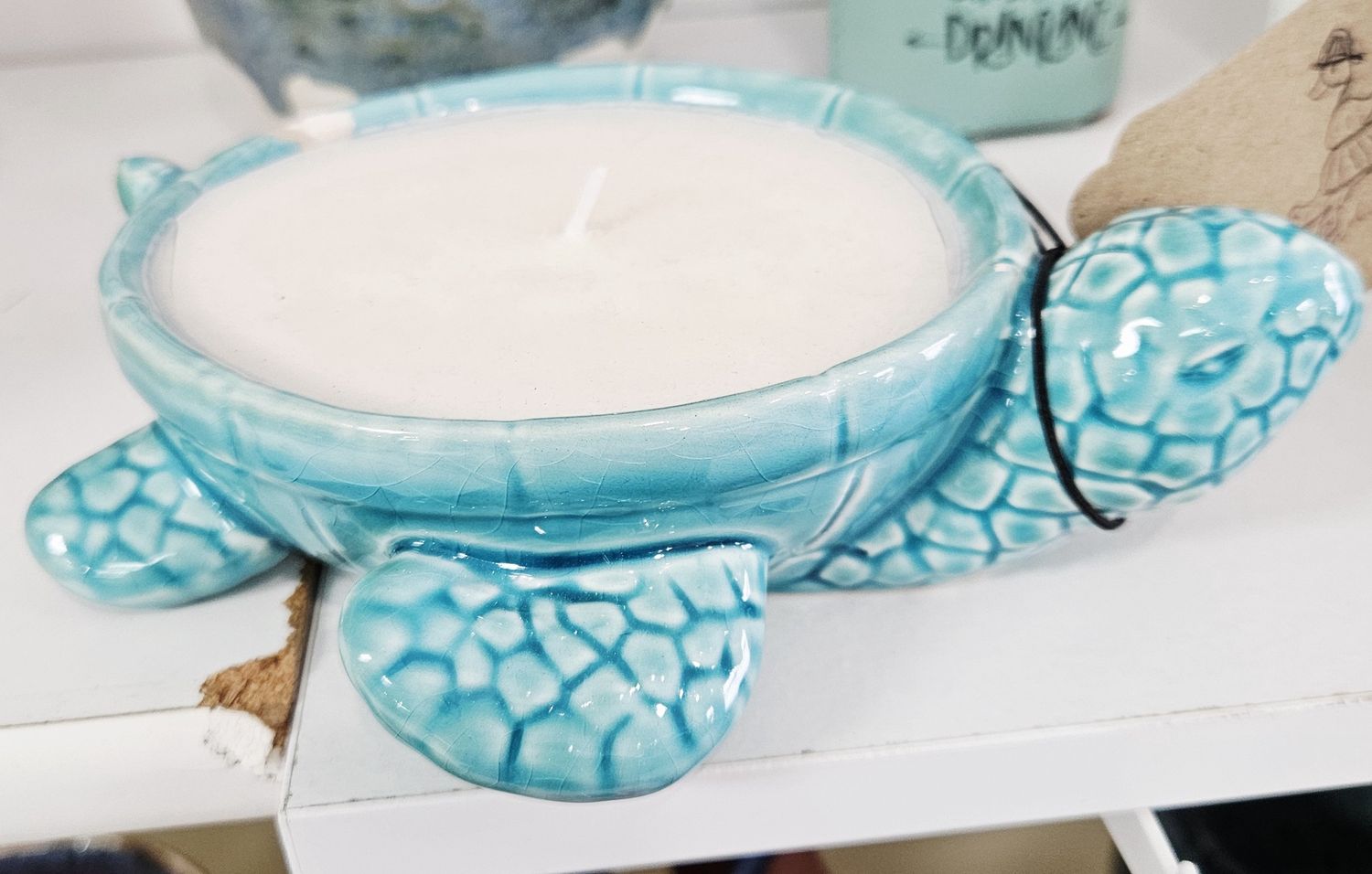 Coastal Blend Oil Soy Turtle Candle