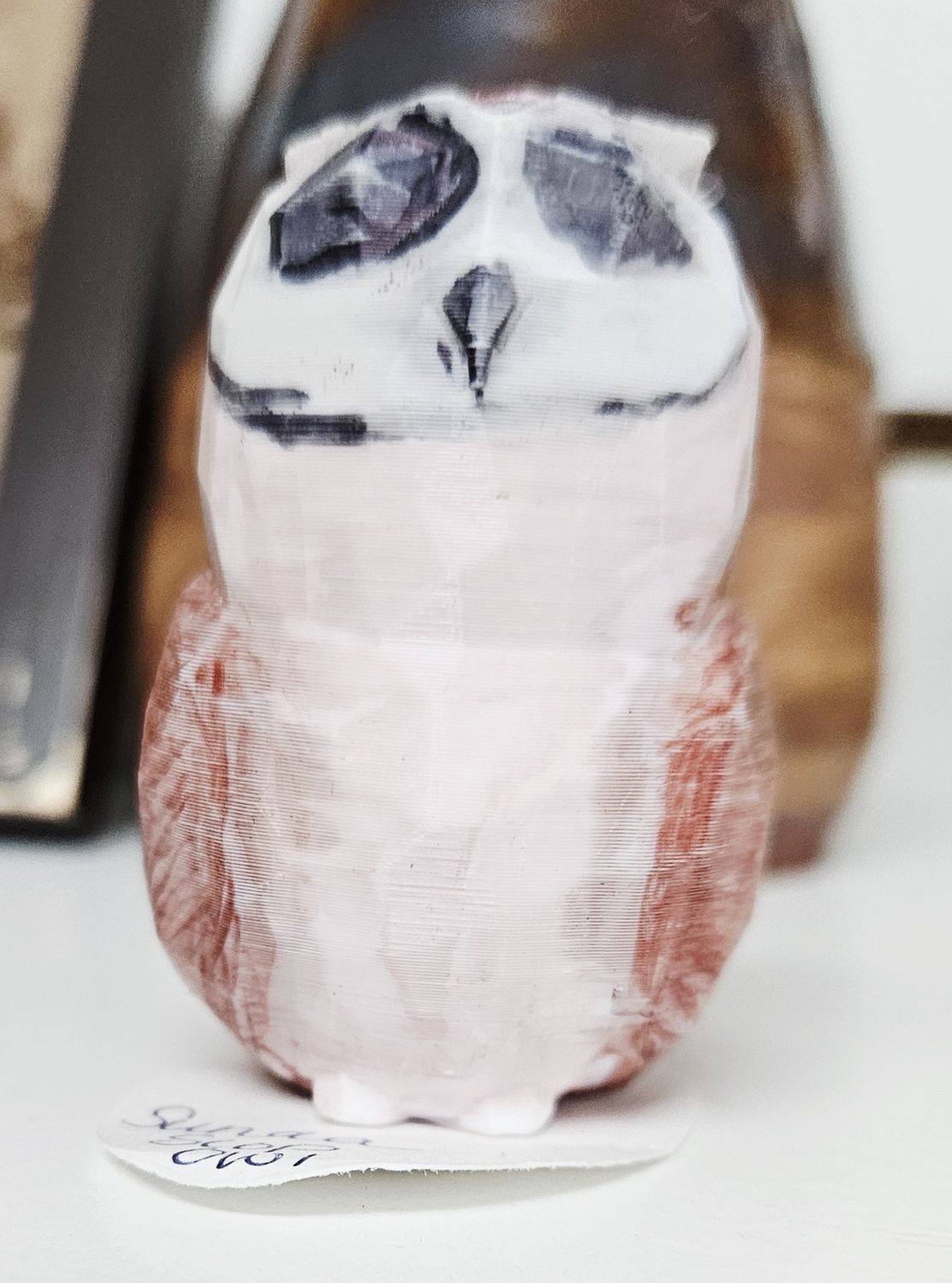 Sunda Scops Owl