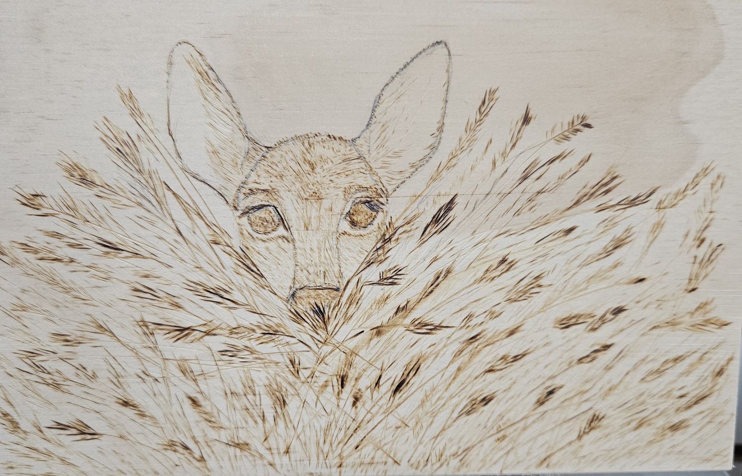 Wood Burned Fawn Box