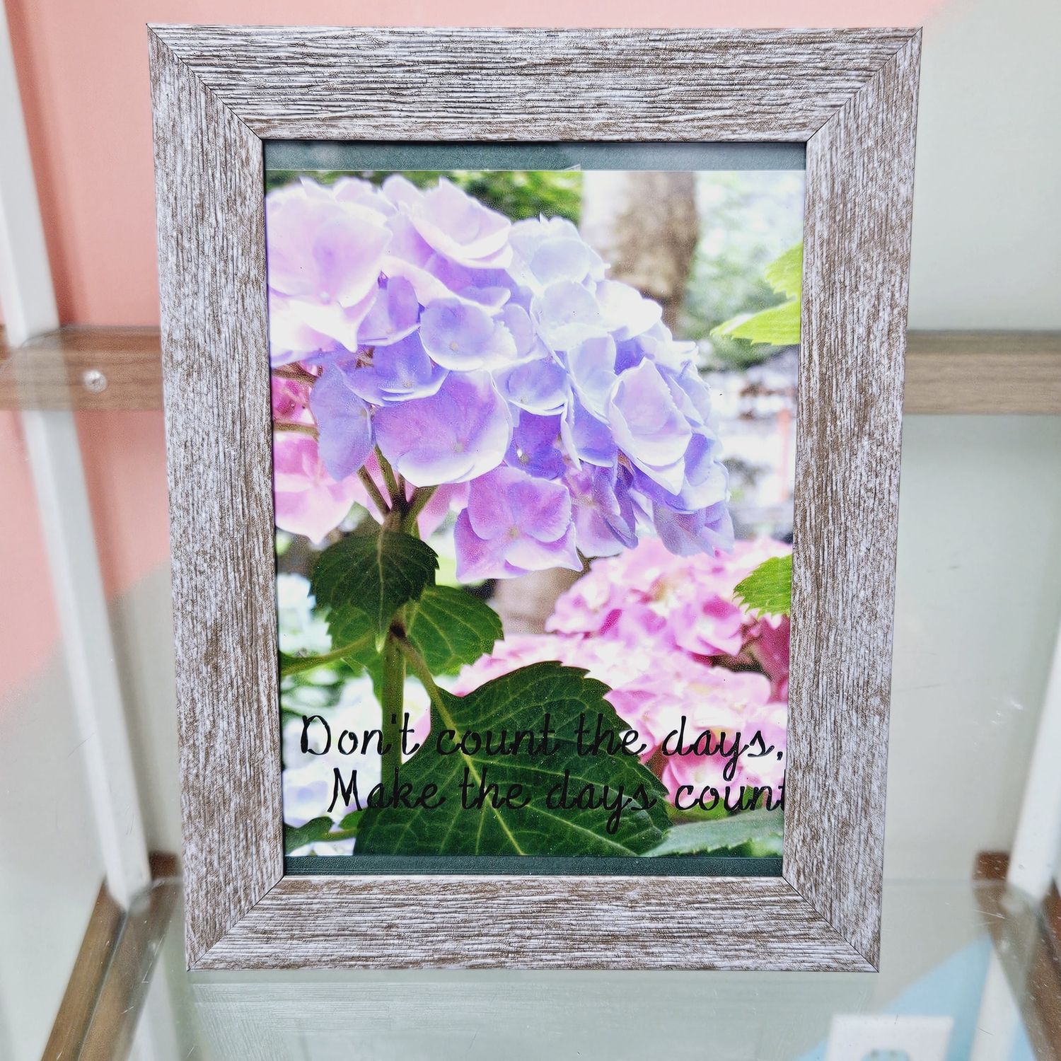 Dont Count The Days Hydrangea Photograph