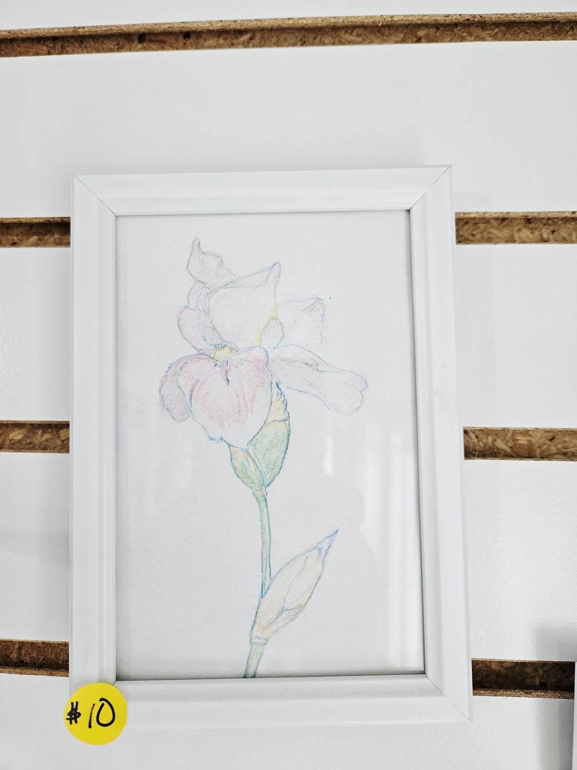 Pink Flower Drawing