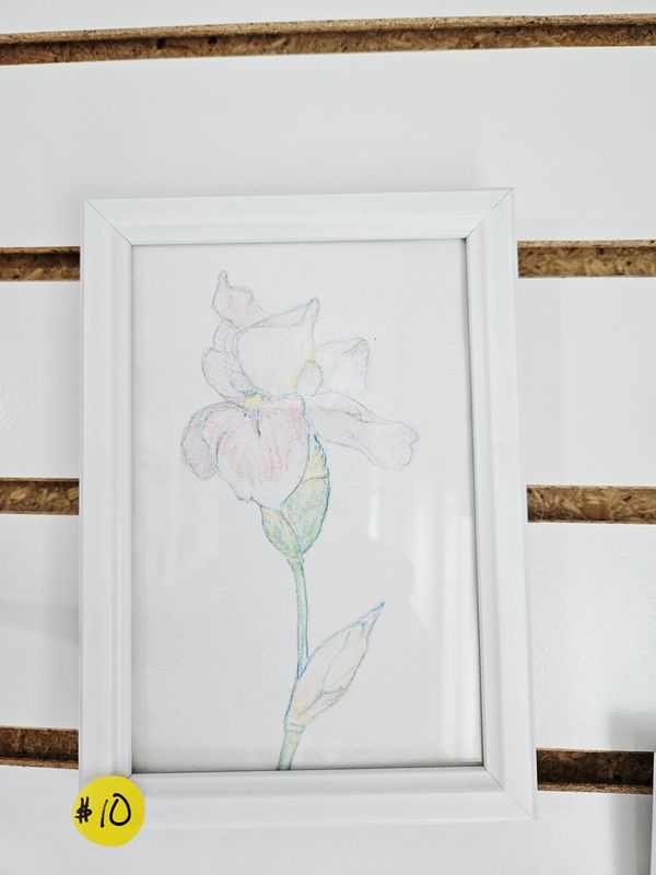 Pink Flower Drawing