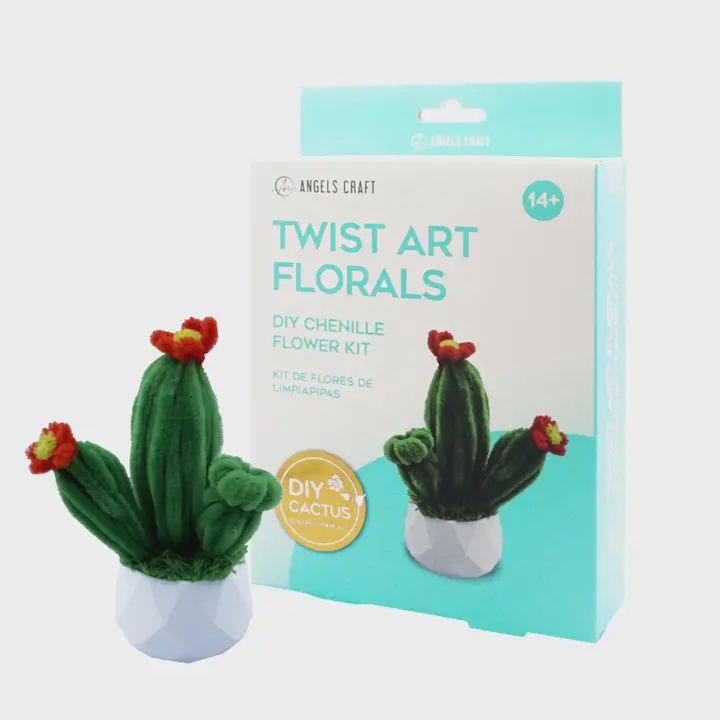 Cactus Chenille Stem Plant Kit
