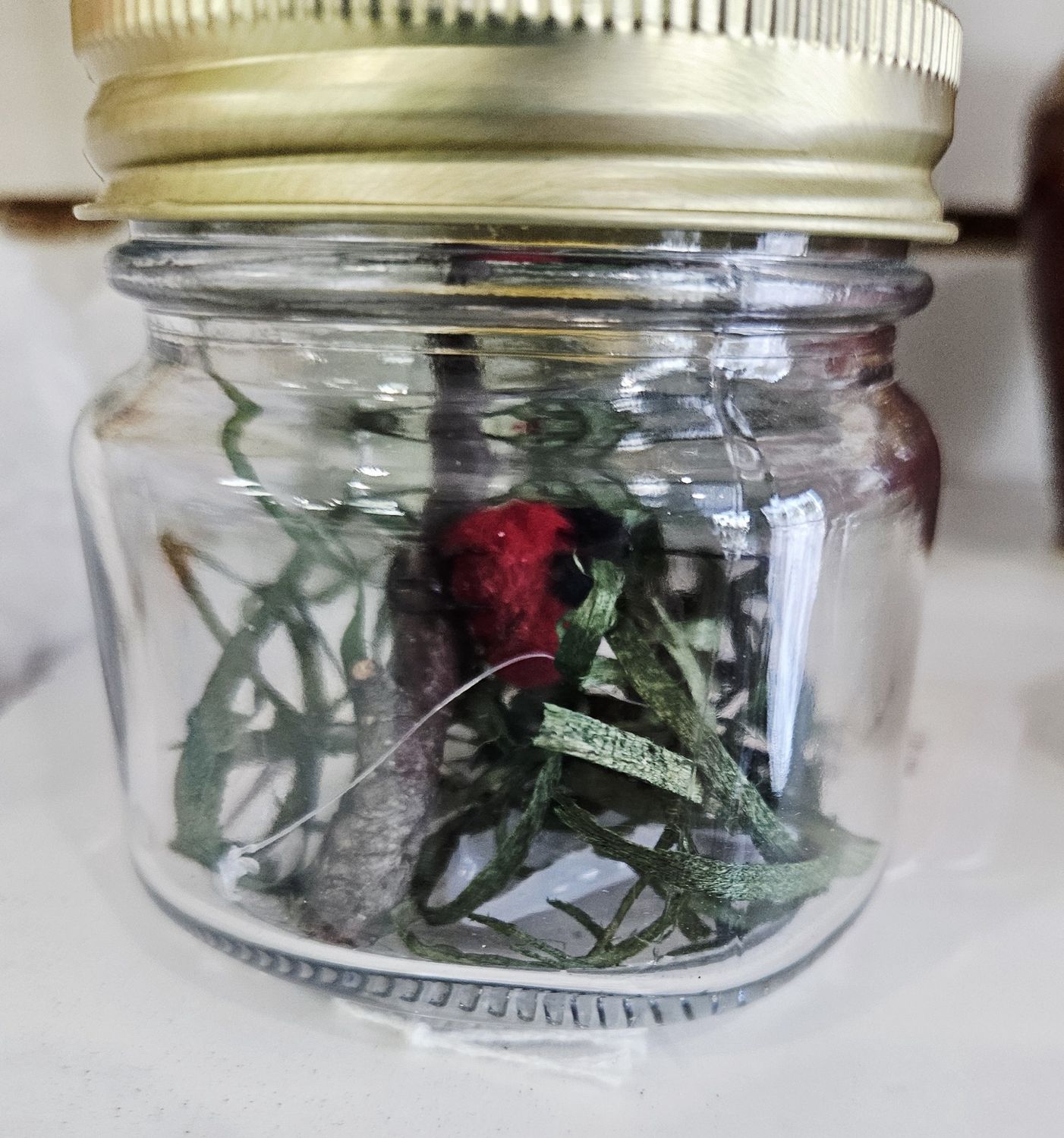 Ladybug in a Jar