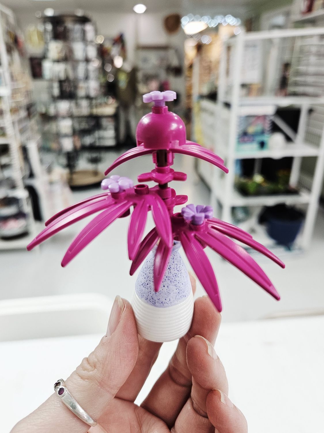 Pink Palm Mini Plant with Purple Vase
