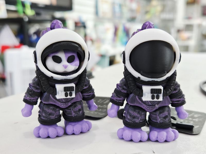 Space Cat - 3D Printed