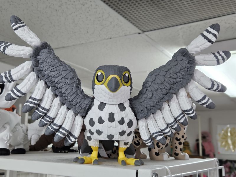 Grey &amp; White Falcon large