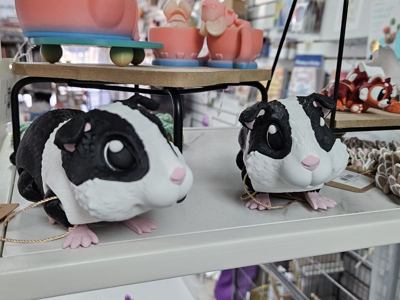 Guinea Pig Black/White large