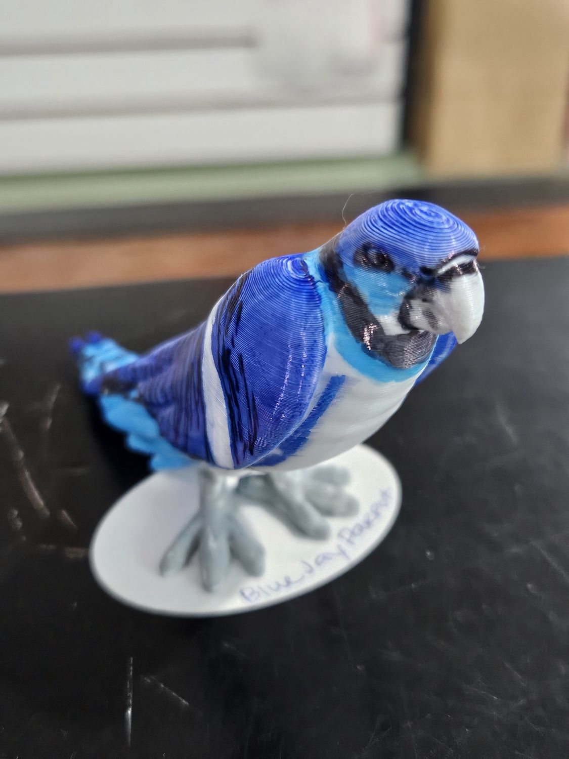 Blue Jay Parrot - 3D Printed