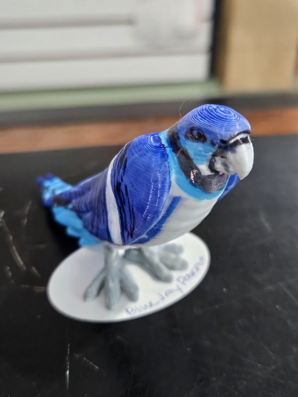 Blue Jay Parrot - 3D Printed