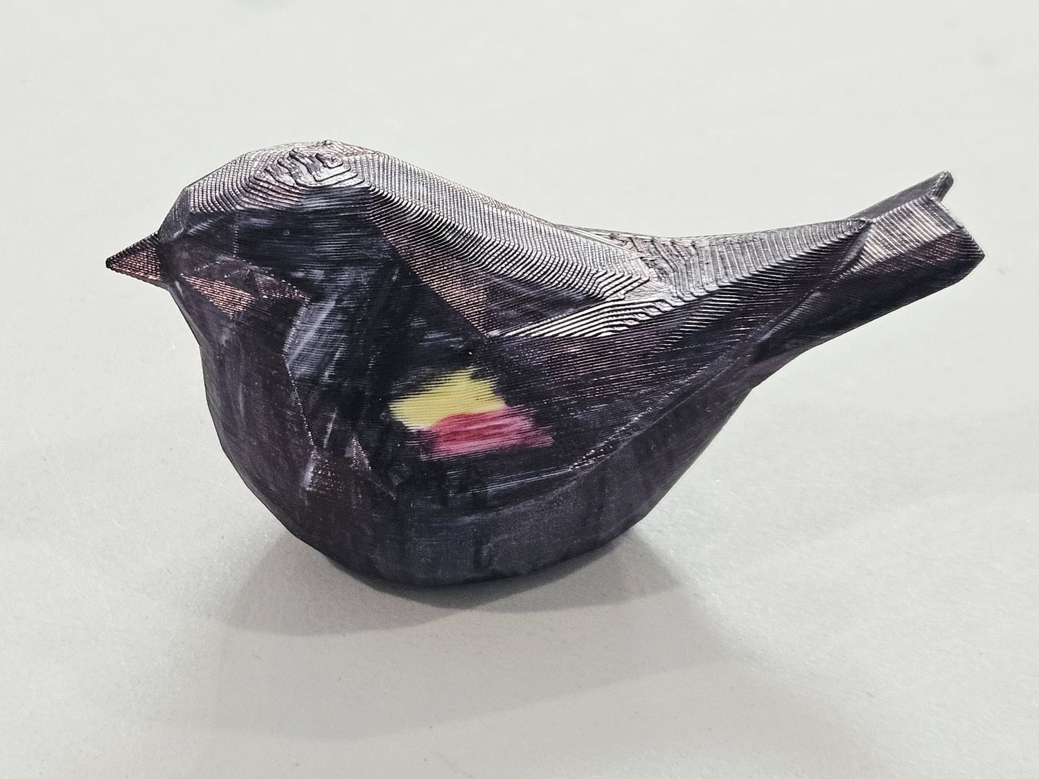 Red Winged Black Bird