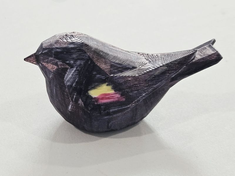 Red Winged Black Bird