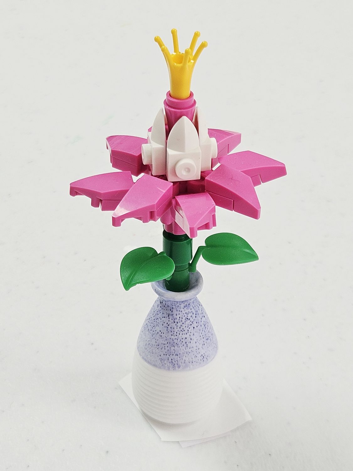 Tall Pink Spiky Flower in Purple Vase