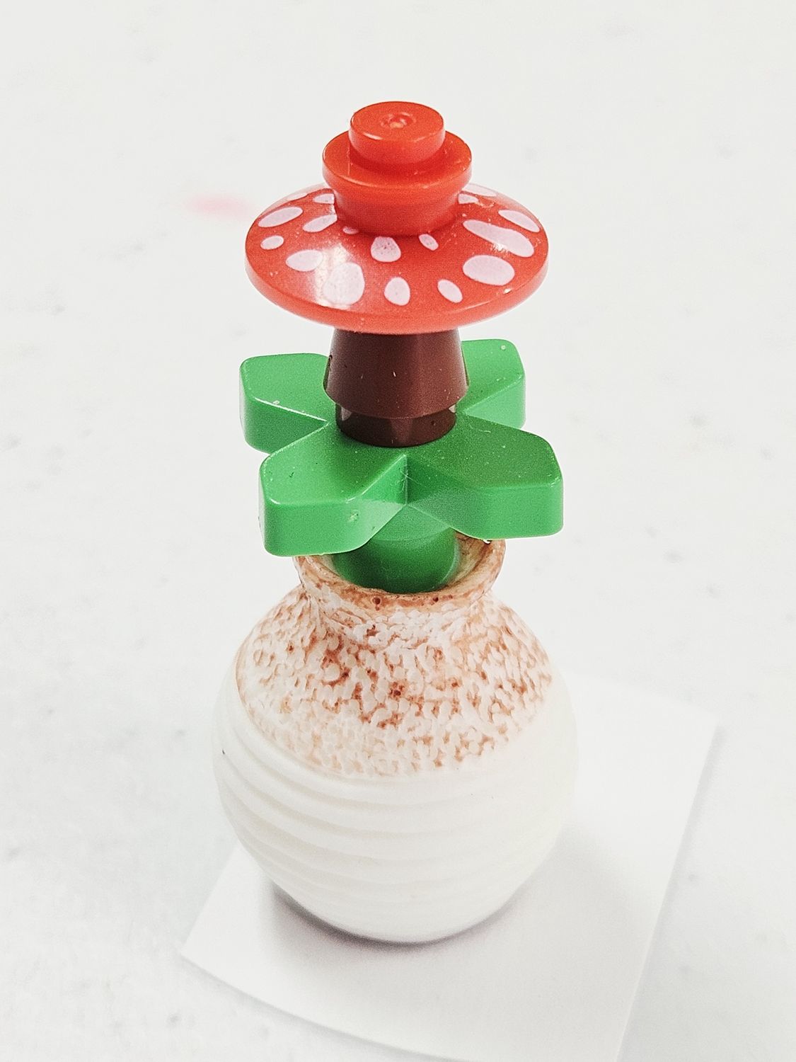 Red mushroom in brown vase